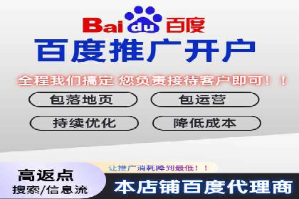 网络推广竞价实战：某电商平台的成功案例